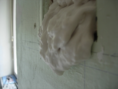 the project is growing out of hand