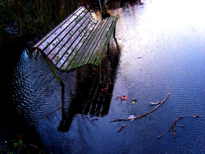 commit reality to dreams