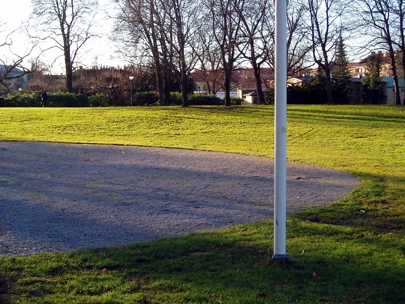 the green grass of home