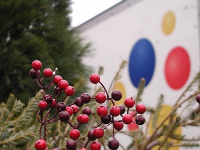 winter berries and wonderbread