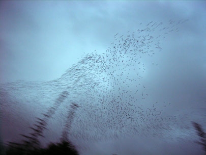 I think you're interesting