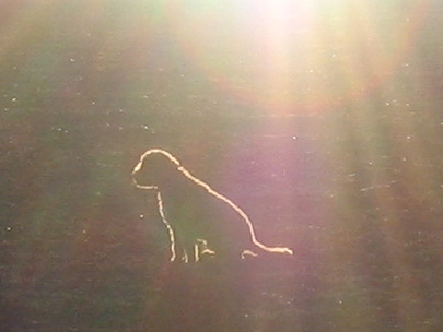 moby, the best model of spain