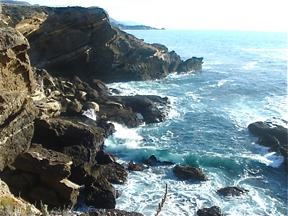 We Love CA for Its Freedom!