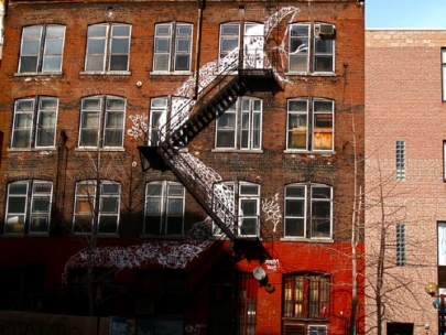 I didn't believe in dragons