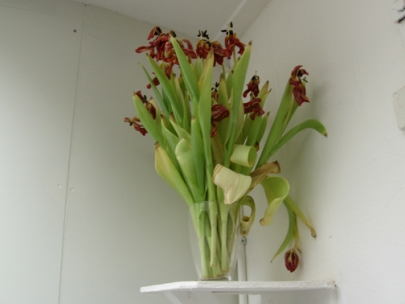 zonder water is het snel afgelopen