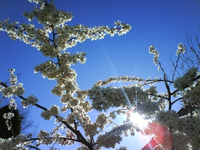 Tita, we are still here