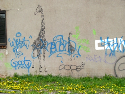 the Montreal neighbourhoods...