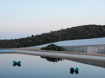 flatscapes (el ejido, almeria)