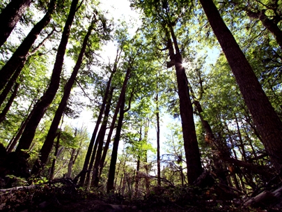 and i reencountered beauty