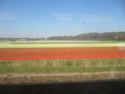 in the train between The Hague and Amsterdam 