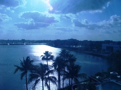 A room with a view. Welcome to Miami!