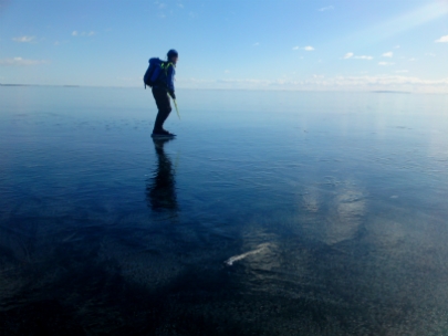 g�ran came to see lake v�tterns magical ice