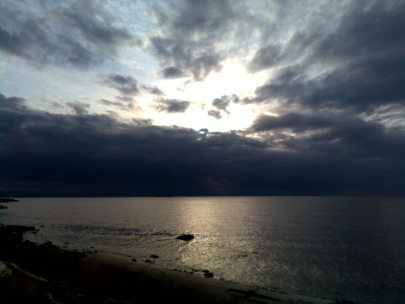 sleep/wake - it's all the same brain!