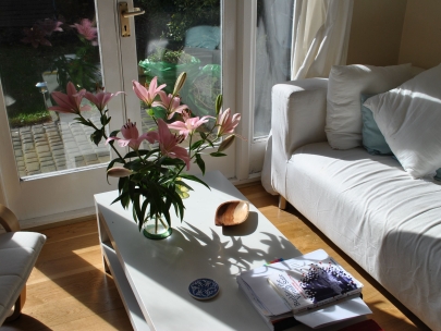 i love sunny mornings-feels energetic