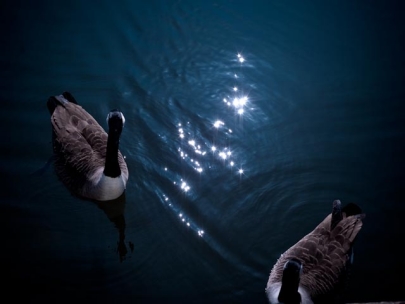 together alone or alone together?