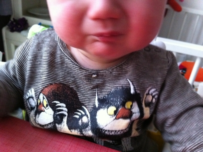 where the wild things are