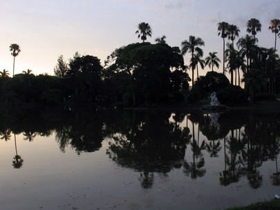 like the joy of sunset