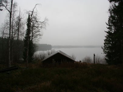 Cold and misty in oktober