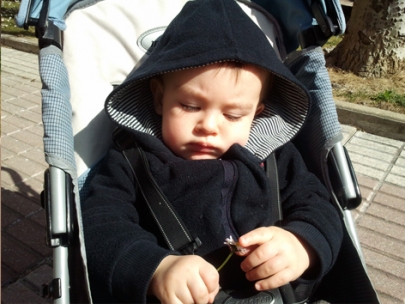 Me quiere, no me quiere