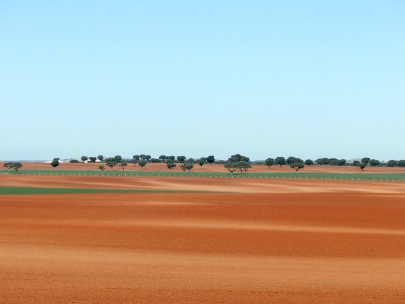 Hitting the road again with Andr�s at the wheel! Salamanca-Lisbon 