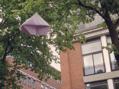 vacas no pero barcos...