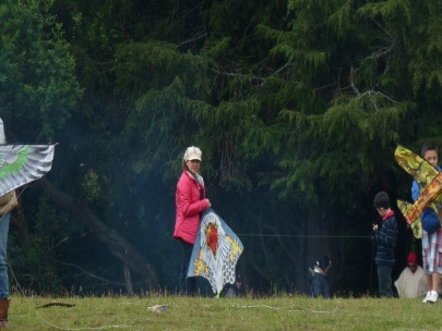 Problems  to Kite Carol?