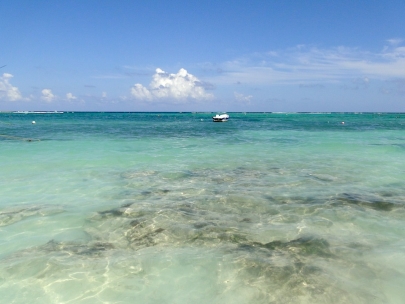 Akumal means �place of turtles� in Mayan 