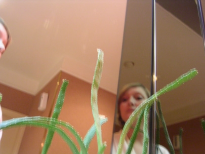 rediscovery (behind the plant)