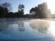 Foggy pool at 7:30 a.m.