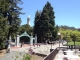 I love Berkeley because... it has a beautiful campus