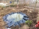 pond creation